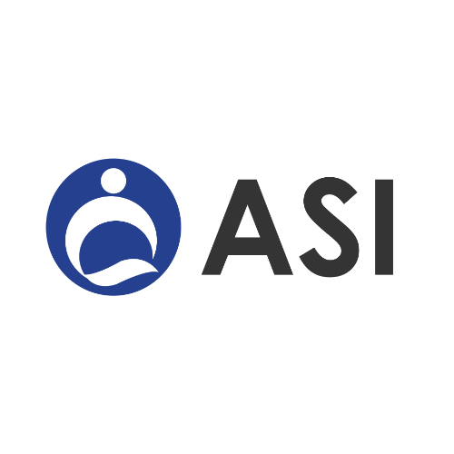Anand Systems Inc. logo