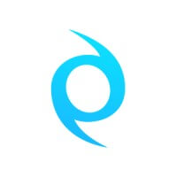 NetStorming logo